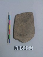 藏品(磨製石斧)的圖片